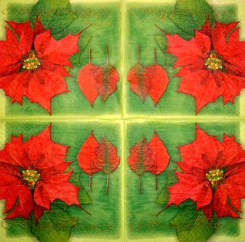 085 Christmas Flowers - 3-ply (cream/Edge grün) - Ihr